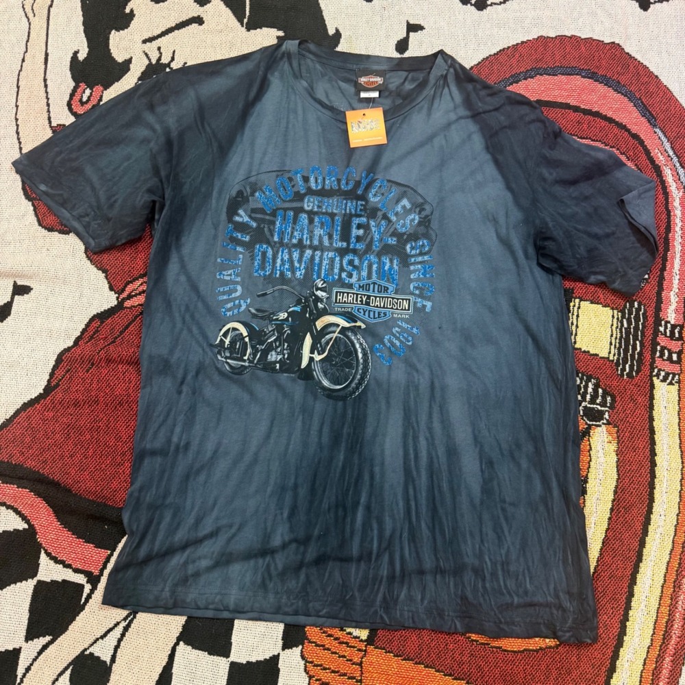 Harley-Davidson Mens XL T-Shirt Gray Acid Wash Buddy Stubbs Anthem AZ Graphic